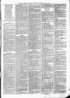 Sheerness Times Guardian Saturday 13 May 1876 Page 7