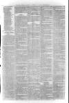 Sheerness Times Guardian Saturday 13 January 1877 Page 7