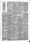 Sheerness Times Guardian Saturday 26 January 1878 Page 7