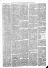 Sheerness Times Guardian Saturday 09 February 1878 Page 3