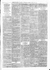 Sheerness Times Guardian Saturday 09 February 1878 Page 7