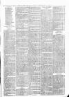 Sheerness Times Guardian Saturday 23 February 1878 Page 7