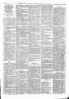 Sheerness Times Guardian Saturday 16 March 1878 Page 7