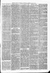 Sheerness Times Guardian Saturday 23 March 1878 Page 3