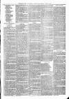 Sheerness Times Guardian Saturday 27 April 1878 Page 7