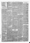Sheerness Times Guardian Saturday 06 July 1878 Page 7