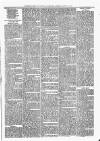 Sheerness Times Guardian Saturday 10 August 1878 Page 3