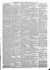 Sheerness Times Guardian Saturday 17 August 1878 Page 5