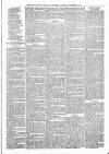 Sheerness Times Guardian Saturday 30 November 1878 Page 3