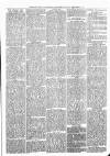 Sheerness Times Guardian Saturday 07 December 1878 Page 3