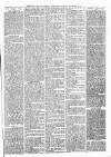 Sheerness Times Guardian Saturday 14 December 1878 Page 7