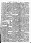 Sheerness Times Guardian Saturday 22 February 1879 Page 3