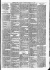 Sheerness Times Guardian Saturday 17 May 1879 Page 7