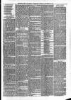 Sheerness Times Guardian Saturday 29 November 1879 Page 7