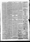 Sheerness Times Guardian Saturday 03 July 1880 Page 3