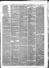 Sheerness Times Guardian Saturday 13 November 1880 Page 7