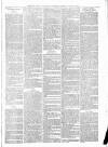 Sheerness Times Guardian Saturday 15 January 1881 Page 7