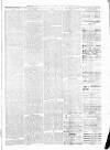 Sheerness Times Guardian Saturday 22 January 1881 Page 3