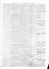 Sheerness Times Guardian Saturday 19 February 1881 Page 3