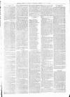 Sheerness Times Guardian Saturday 19 February 1881 Page 7