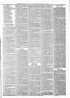 Sheerness Times Guardian Saturday 21 May 1881 Page 7