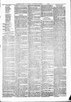 Sheerness Times Guardian Saturday 06 August 1881 Page 7