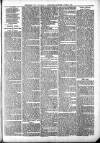 Sheerness Times Guardian Saturday 11 March 1882 Page 7