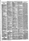 Sheerness Times Guardian Saturday 17 February 1883 Page 6