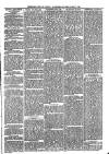Sheerness Times Guardian Saturday 17 March 1883 Page 3