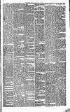 Irvine Herald Saturday 18 February 1882 Page 5