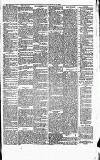 Irvine Herald Saturday 16 May 1885 Page 5