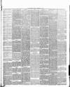 Irvine Herald Friday 22 November 1889 Page 3