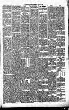 Stirling Observer Saturday 13 November 1875 Page 3