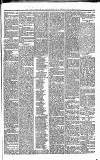 Stirling Observer Thursday 17 June 1880 Page 5