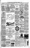 Stirling Observer Thursday 08 July 1880 Page 7