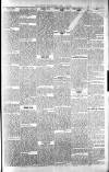 Highland News Saturday 22 January 1898 Page 5