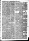 Eskdale and Liddesdale Advertiser Wednesday 08 January 1879 Page 3