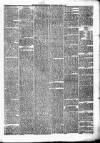 Eskdale and Liddesdale Advertiser Wednesday 05 March 1879 Page 3