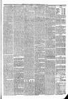 Eskdale and Liddesdale Advertiser Wednesday 14 January 1880 Page 3