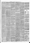 Eskdale and Liddesdale Advertiser Wednesday 11 February 1880 Page 3