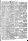 Eskdale and Liddesdale Advertiser Wednesday 28 April 1880 Page 3