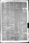 Irvine Times Saturday 04 January 1879 Page 5