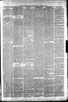 Irvine Times Saturday 25 January 1879 Page 3