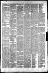 Irvine Times Saturday 15 February 1879 Page 5