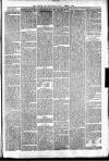Irvine Times Saturday 01 March 1879 Page 5