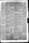 Irvine Times Saturday 15 March 1879 Page 5