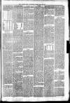 Irvine Times Saturday 29 March 1879 Page 5