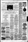 Irvine Times Saturday 26 April 1879 Page 7