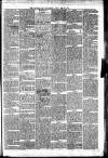 Irvine Times Saturday 24 May 1879 Page 5