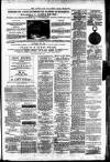 Irvine Times Saturday 24 May 1879 Page 7